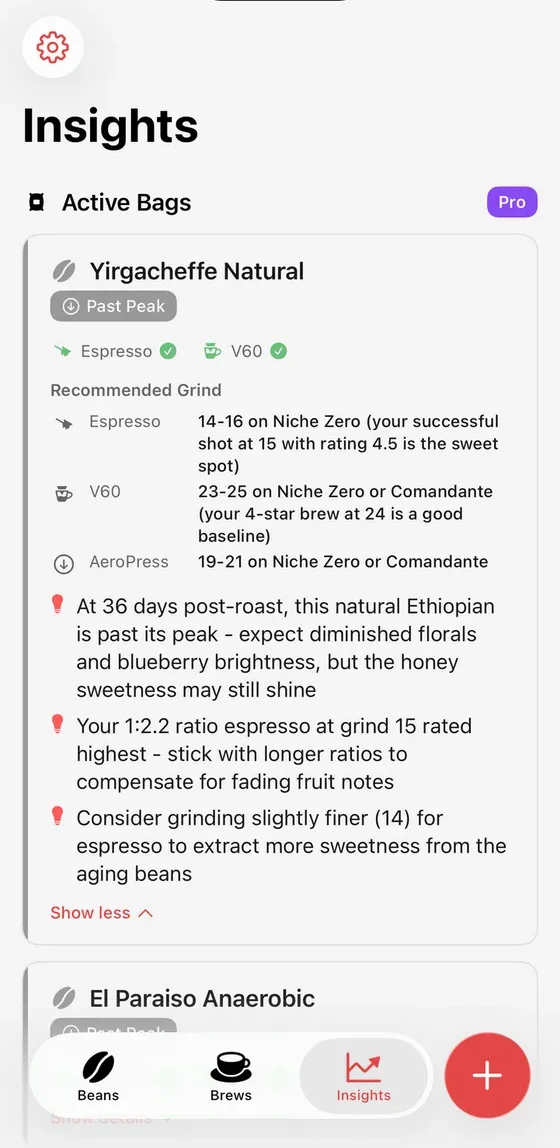BrewLogica insights screen with suggestions for an active coffee bag.